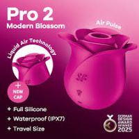 SAT 360081 Щекотун для клитора Classic Rose USB