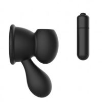 TG 21748 Стимуляторы сосков Dream Toys с вибрацией